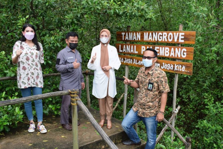 Renny Astuti Dukung Pengembangan Ekosistem Mangrove Banyuasin 4 renny astuti
