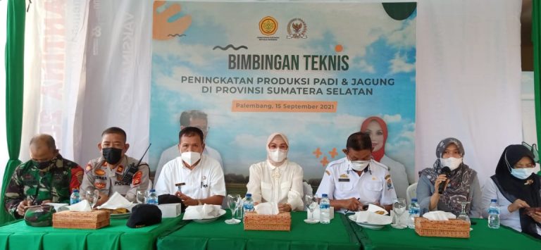 Gandeng Kementan, Renny Astuti Gelar Bimtek Genjot Produksi Padi dan Jagung di Palembang 4 rennya