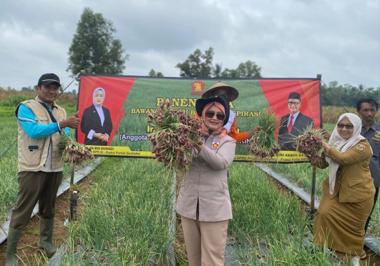 Dwita Ria Panen Bawang Merah dengan Kelompok Tani 4 WhatsApp Image 2023 01 09 at 09.15.37