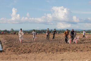 Presiden Jokowi dan Menhan Prabowo Kompak Tanam Jagung di Food Estate Keerom Papua 6 prabowopapua