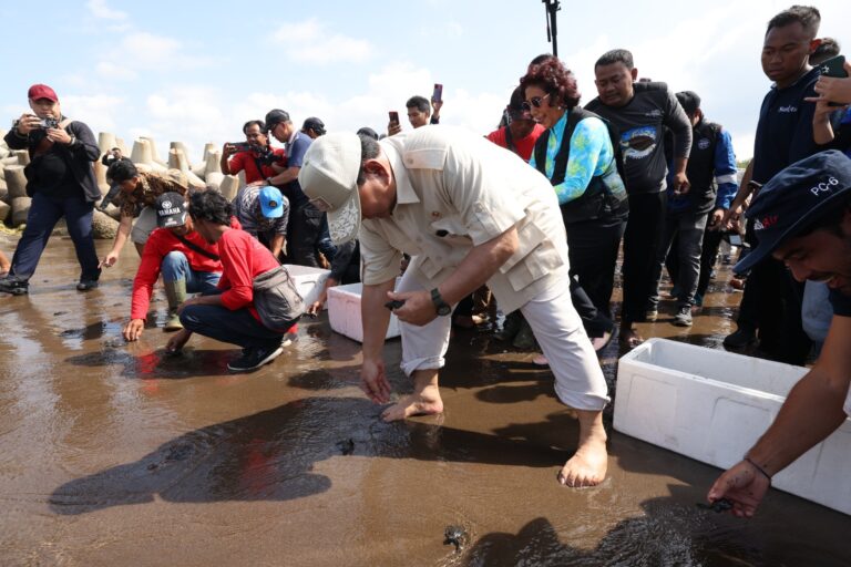 Jaga Ekosistem Laut, Prabowo Lepas Anak Penyu Bareng Susi dan Pandu Laut Nusantara di Pantai Pangandaran 4 WhatsApp Image 2023 07 17 at 16.16.55