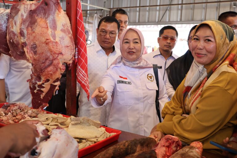 Dwita Gunadi Minta Masyarakat Tak Panik di Tengah Kenaikan Harga Pangan 4 Anggota Komisi IV DPR RI Dwita Ria Gunadi saat meninjau ketersediaan pangan jelang Ramadan di Pasar 20240308150639