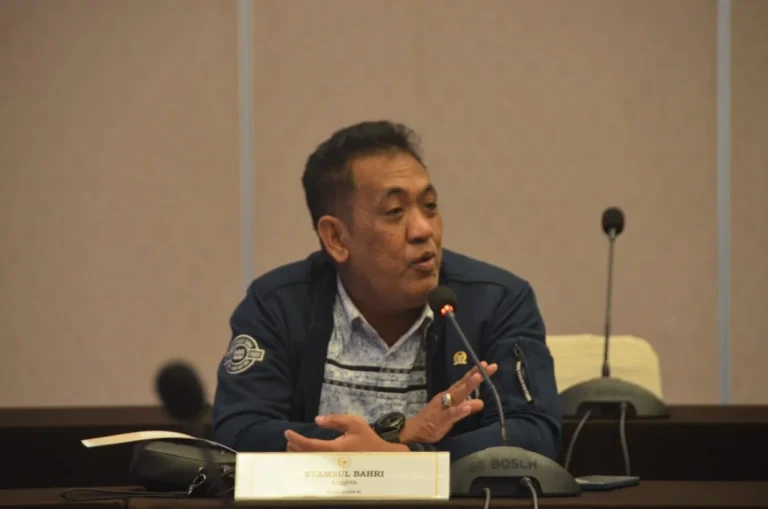 Makan Korban di Kalsel, Syamsul Bahri Tancap Gas Minta OJK Wanti-Wanti Pinjol Tak Berizin 4 B2944590 C99D 41EC BA34 0BB80C5066BF