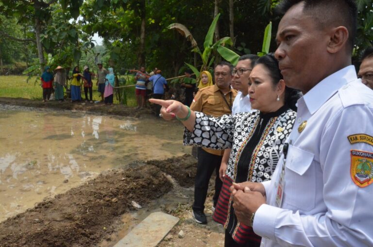 Titiek Soeharto Tinjau Program Pompanisasi di Sukoharjo untuk Dorong Swasembada Pangan 4 Komisi IV