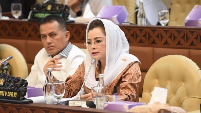PPN 12 Persen, Novita Wijayanti Tuding PDI Perjuangan Lempar Tanggung Jawab 4 202412230717 main.cropped 1734913082