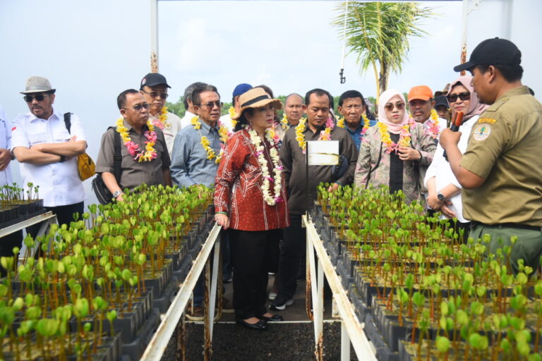 Komisi IV Tinjau Kawasan Mangrove Tahura Ngurah Rai Bali 4 Ketua Komisi IV DPR RI Siti Hediati Soeharto melakukan kunjungan kerja ke Kawasan Mangrove Taman Hu20241209174038