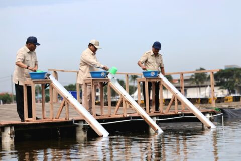 Prabowo Kunjungi Tambak Ikan Nila Salin di Karawang, Cek Potensi Bahan Makan Bergizi Gratis 14 WhatsApp Image 2024 12 02 at 13.29.55 9a6da1bf