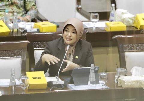 Annisa Mahesa DJP 1