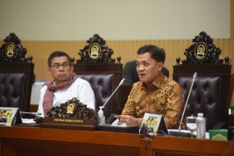 bib