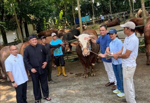 Marlyn Maisarah Serahkan 61 Sapi Kurban dari Presiden Prabowo untuk Warga Babakan Madang 4 f8521 marlyn