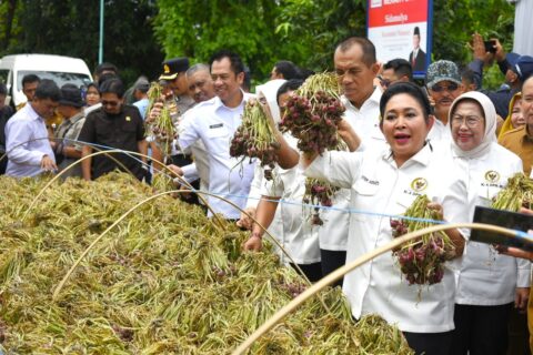 titiek 8