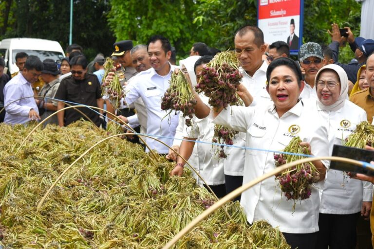 Komisi IV DPR RI Apresiasi Bawang Merah Brebes Tembus Pasar Ekspor 4 titiek 8
