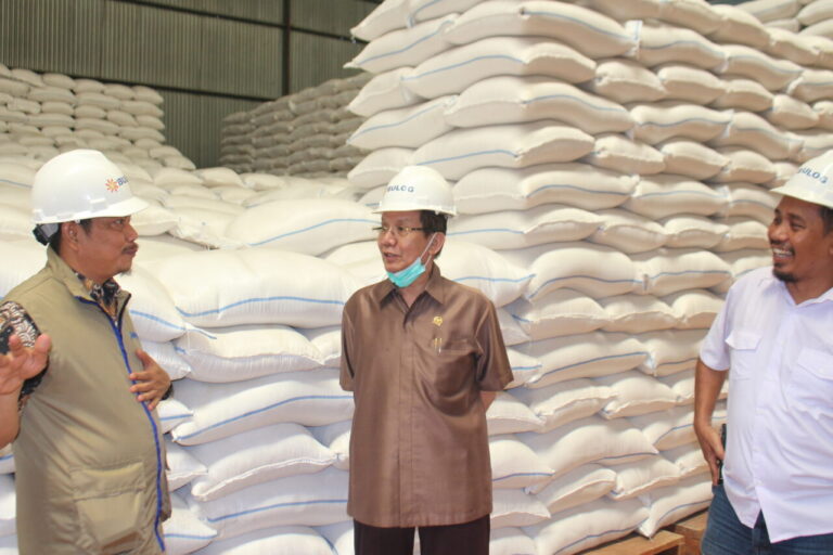 Longki Djanggola Tinjau Gudang Bulog Parigi Moutong, Pastikan Stok Beras Aman 4 IMG 5154
