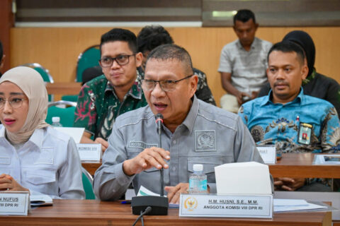 husni m h