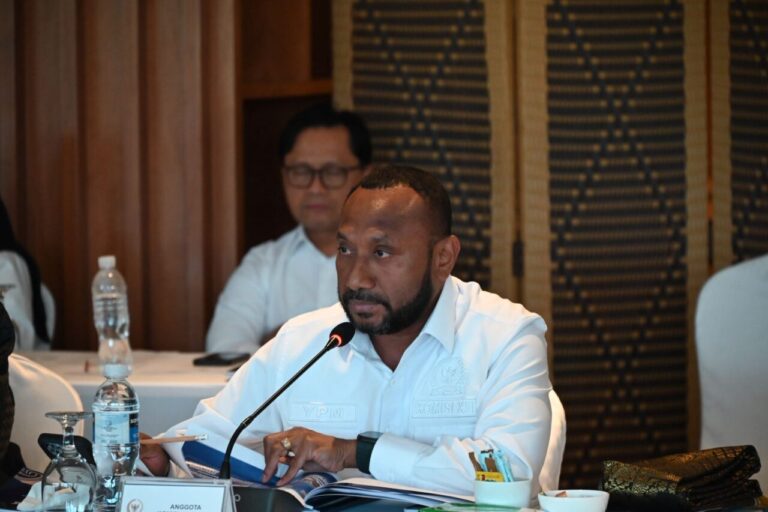 Yan Mandenas Dorong Penguatan Pengawasan Izin Tinggal dan Aktivitas WNA di Batam 4 yan permenas