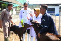 nggota Komisi IV DPR RI Endang Setyawati Thohari saat melakukan kunjungan kerja ke Koperasi Usaha Ta20260928144058