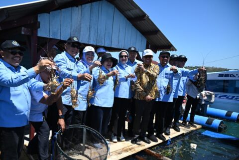 Komisi IV DPR RI Dorong Indonesia Jadi Produsen Utama Lobster Budidaya Dunia 4 titiek