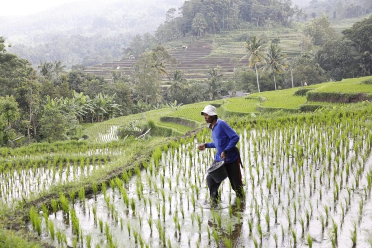 Dua Tahun Pemerintahan Prabowo: Harga Pupuk Turun 20 Persen, Kesejahteraan Petani Meningkat 6 WhatsApp Image 2026 10 17 at 16.19.59