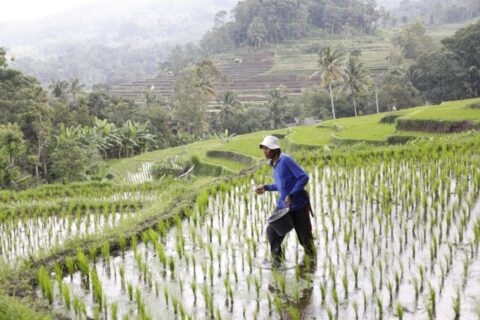 Dua Tahun Pemerintahan Prabowo: Harga Pupuk Turun 20 Persen, Kesejahteraan Petani Meningkat 17 WhatsApp Image 2026 10 17 at 16.19.59